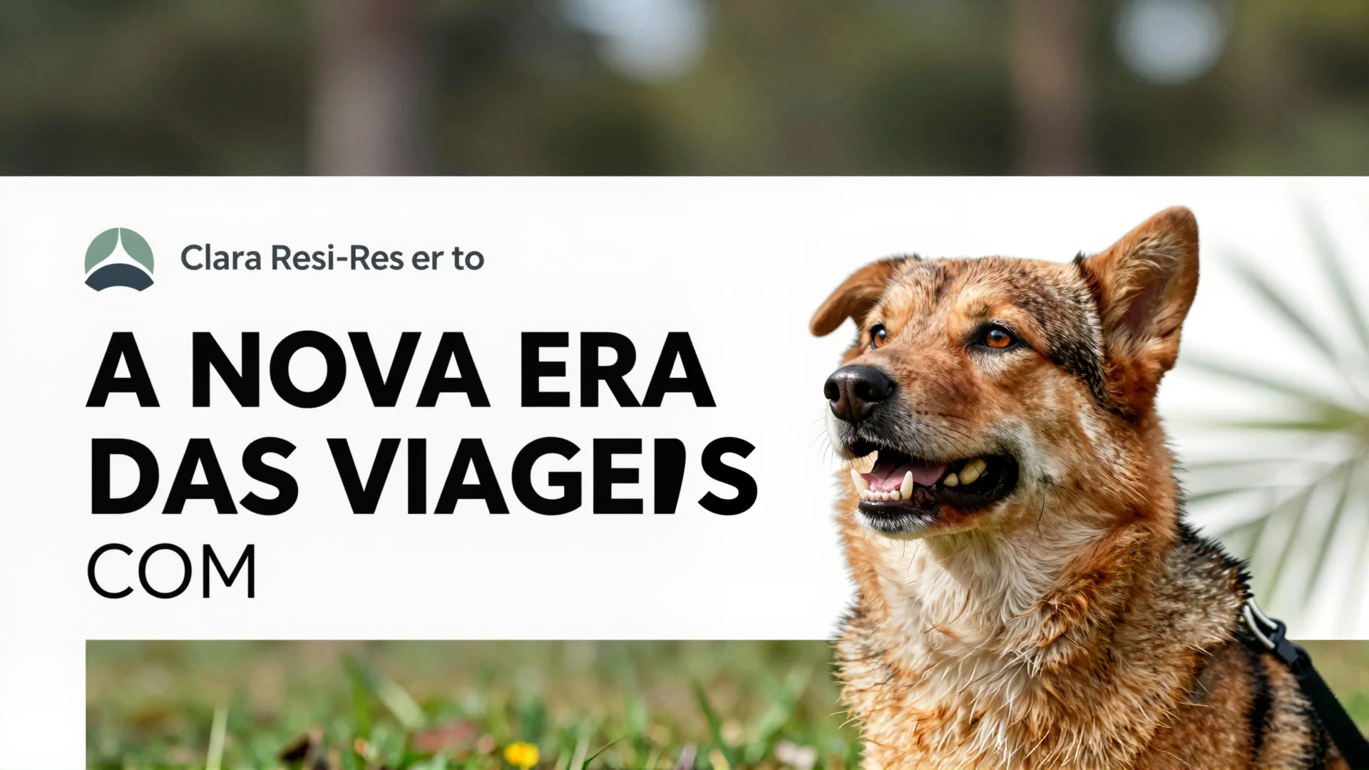 A nova era das viagens com animais: como o Clara Resorts está transformando o turismo no Brasil