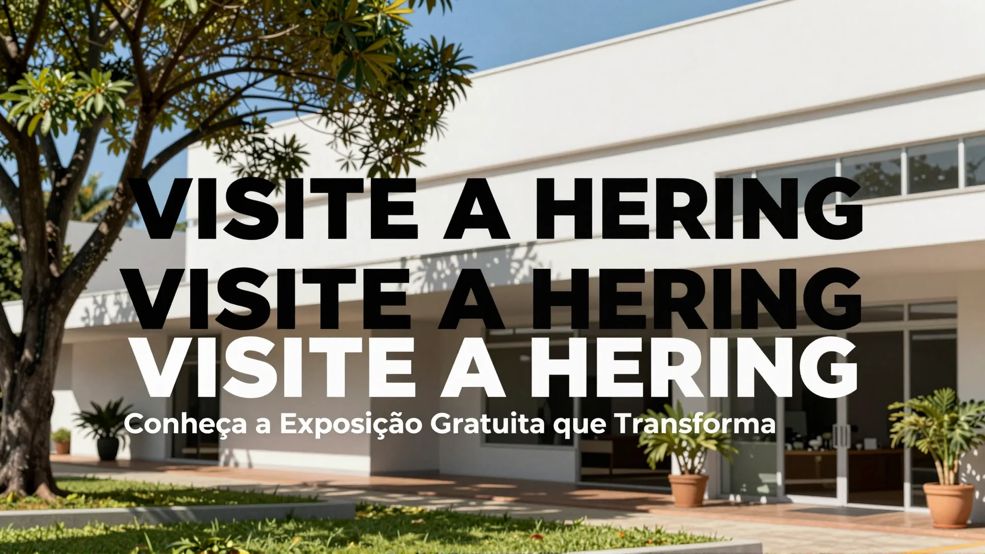 Visite a Hering: Conheça a Exposição Gratuita que Transforma a Galeria Paulista