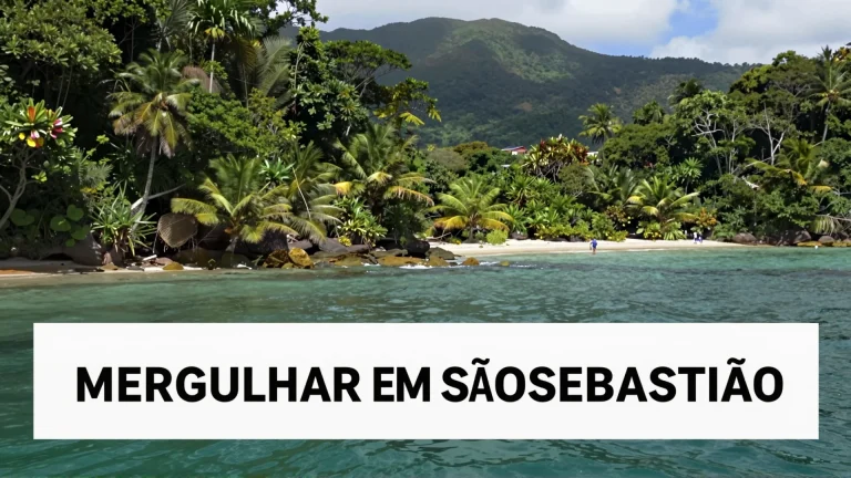 Mergulhar em São Sebastião: um convite à natureza que preserva a Mata Atlântica