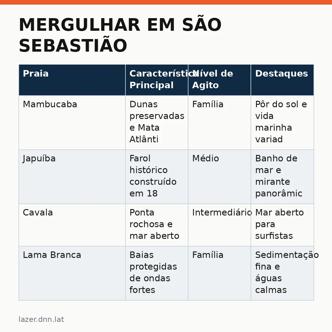Infográfico - Mergulhar em São Sebastião: um convite à natureza que preserva a Mata Atlântica