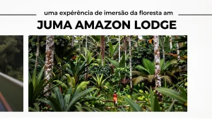 Juma Amazon Lodge: uma experiência de imersão na floresta amazônica