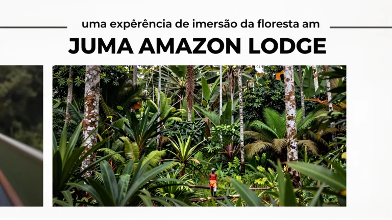 Juma Amazon Lodge: uma experiência de imersão na floresta amazônica