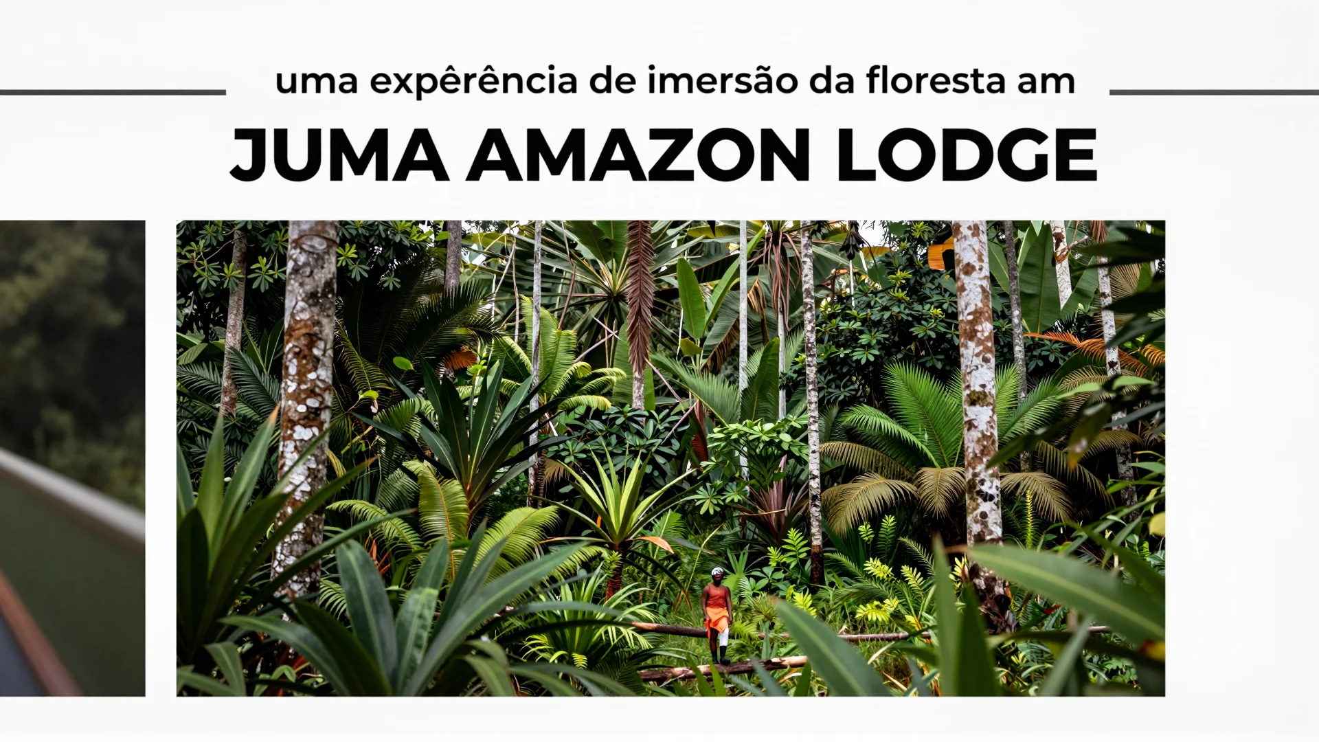 Juma Amazon Lodge: uma experiência de imersão na floresta amazônica