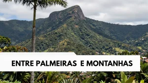 Entre palmeiras e montanhas: a experiência de viagem que Lugano oferece aos brasileiros
