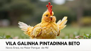 Vila Galinha Pintadinha Beto: Nova Área no Maior Parque de Montanhas-Russas da América Latina